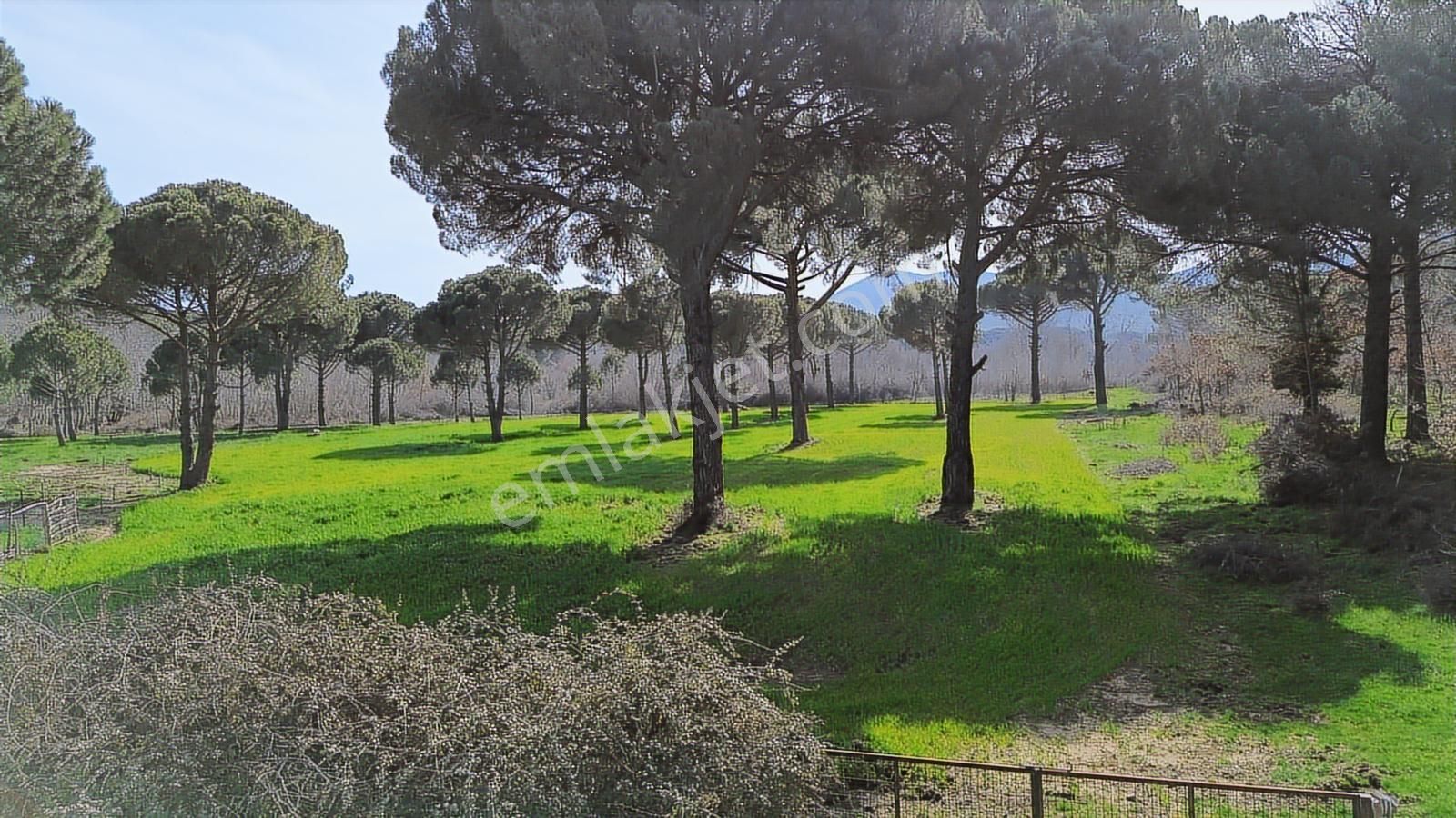 Bergama Kozak Yukarıbey Mahallesinde Satılık 9.371m2 Tarla - Görsel 12