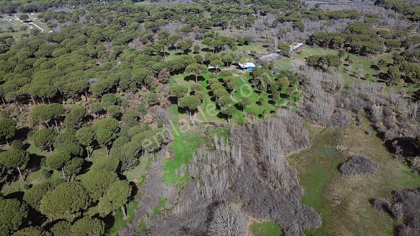 Bergama Kozak Yukarıbey Mahallesinde Satılık 9.371m2 Tarla - Görsel 3