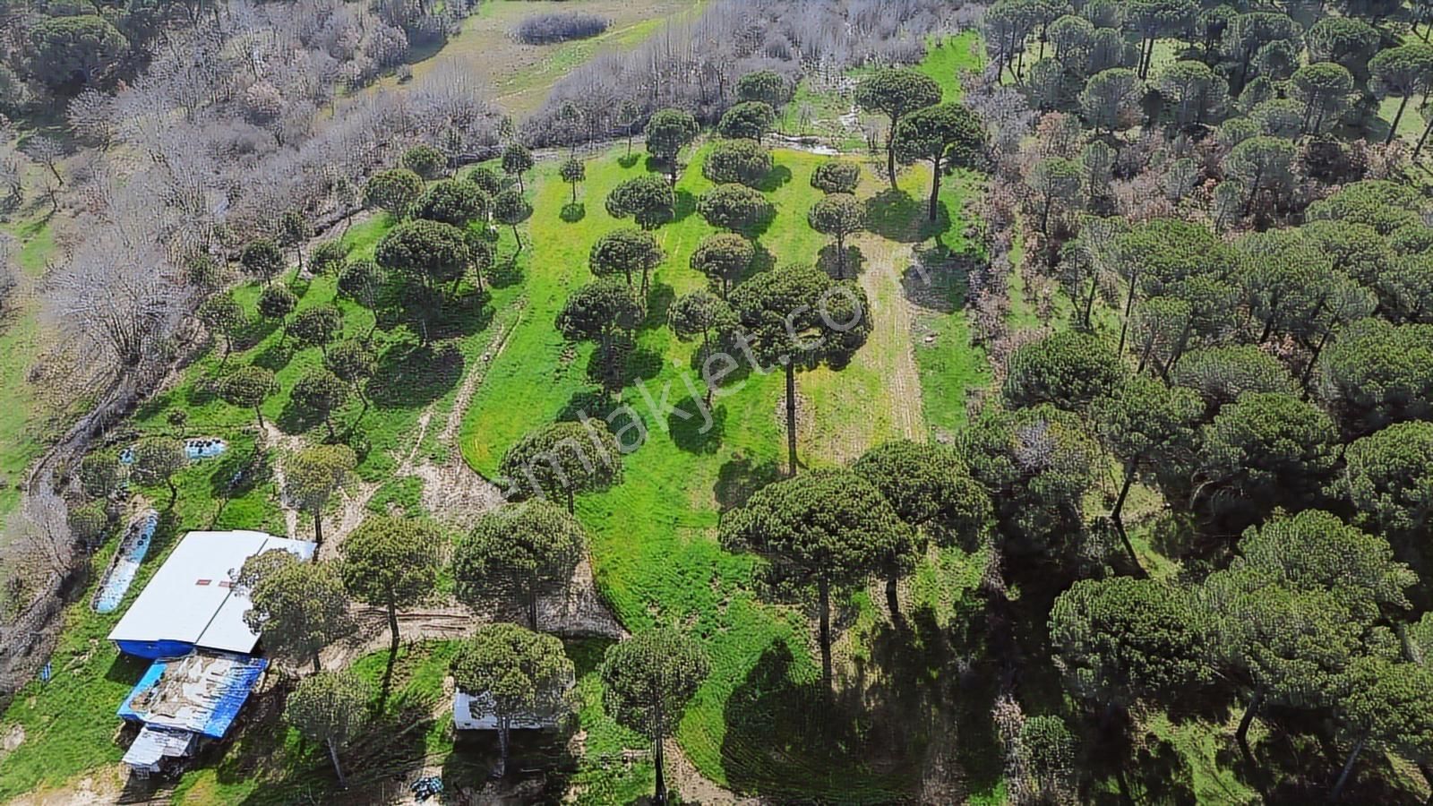 Bergama Kozak Yukarıbey Mahallesinde Satılık 9.371m2 Tarla - Görsel 27