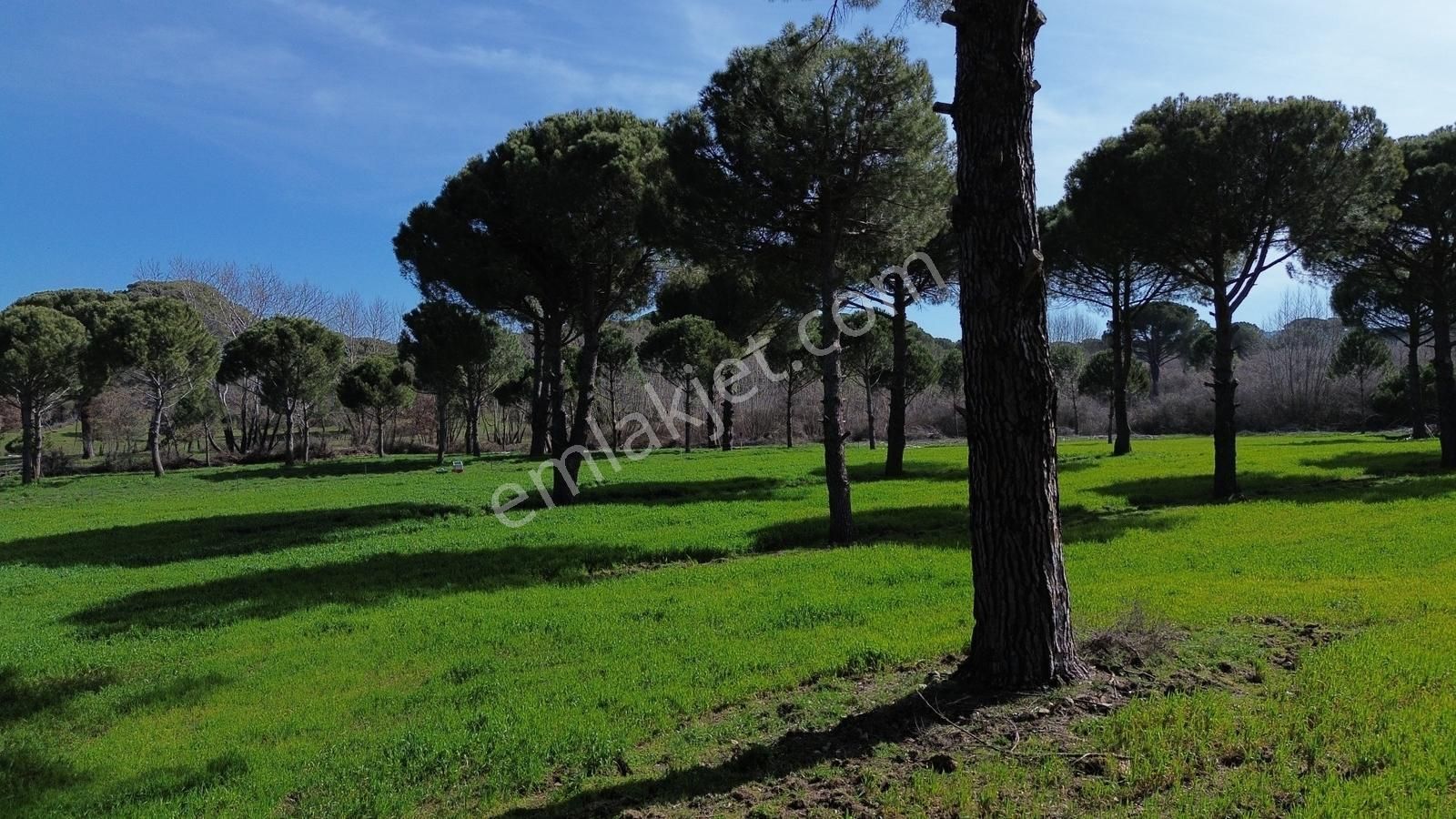 Bergama Kozak Yukarıbey Mahallesinde Satılık 9.371m2 Tarla