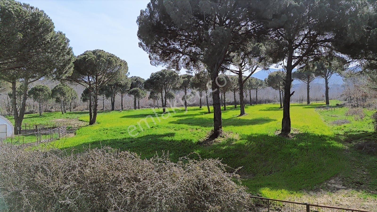 Bergama Kozak Yukarıbey Mahallesinde Satılık 9.371m2 Tarla - Görsel 9