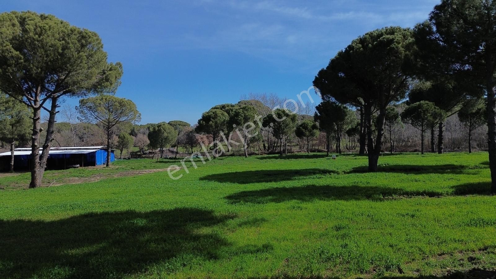 Bergama Kozak Yukarıbey Mahallesinde Satılık 9.371m2 Tarla - Görsel 16