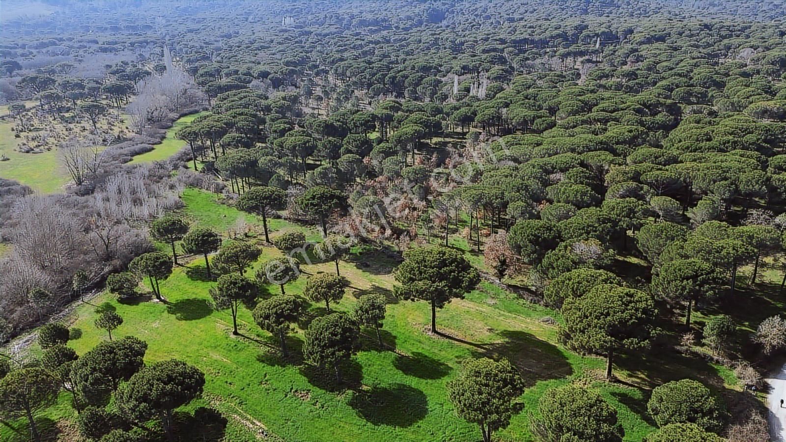 Bergama Kozak Yukarıbey Mahallesinde Satılık 9.371m2 Tarla - Görsel 28