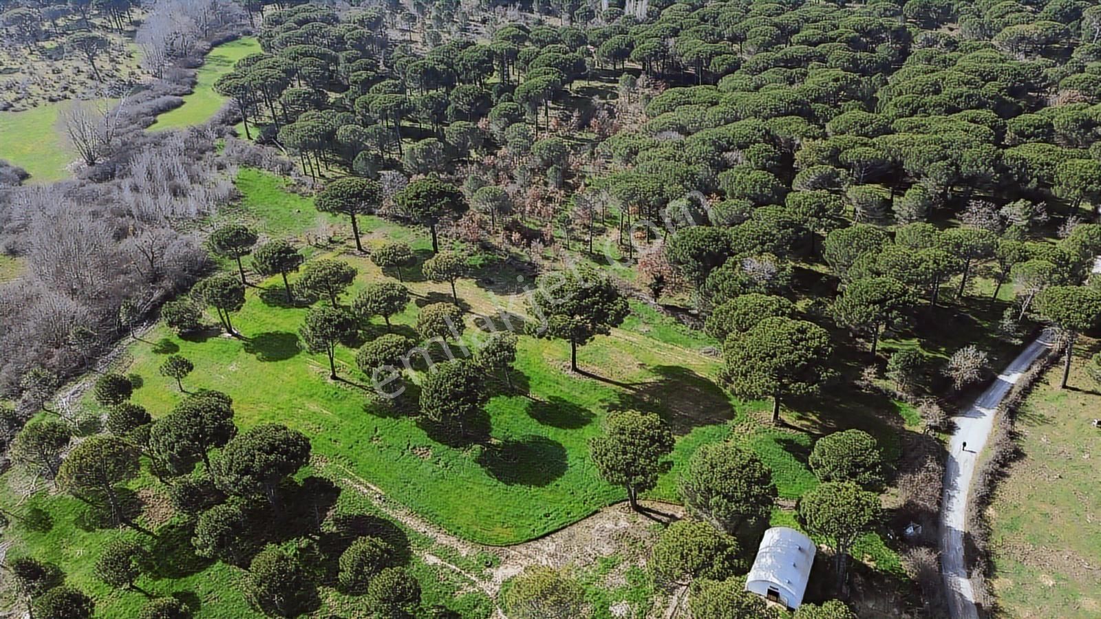 Bergama Kozak Yukarıbey Mahallesinde Satılık 9.371m2 Tarla - Görsel 19