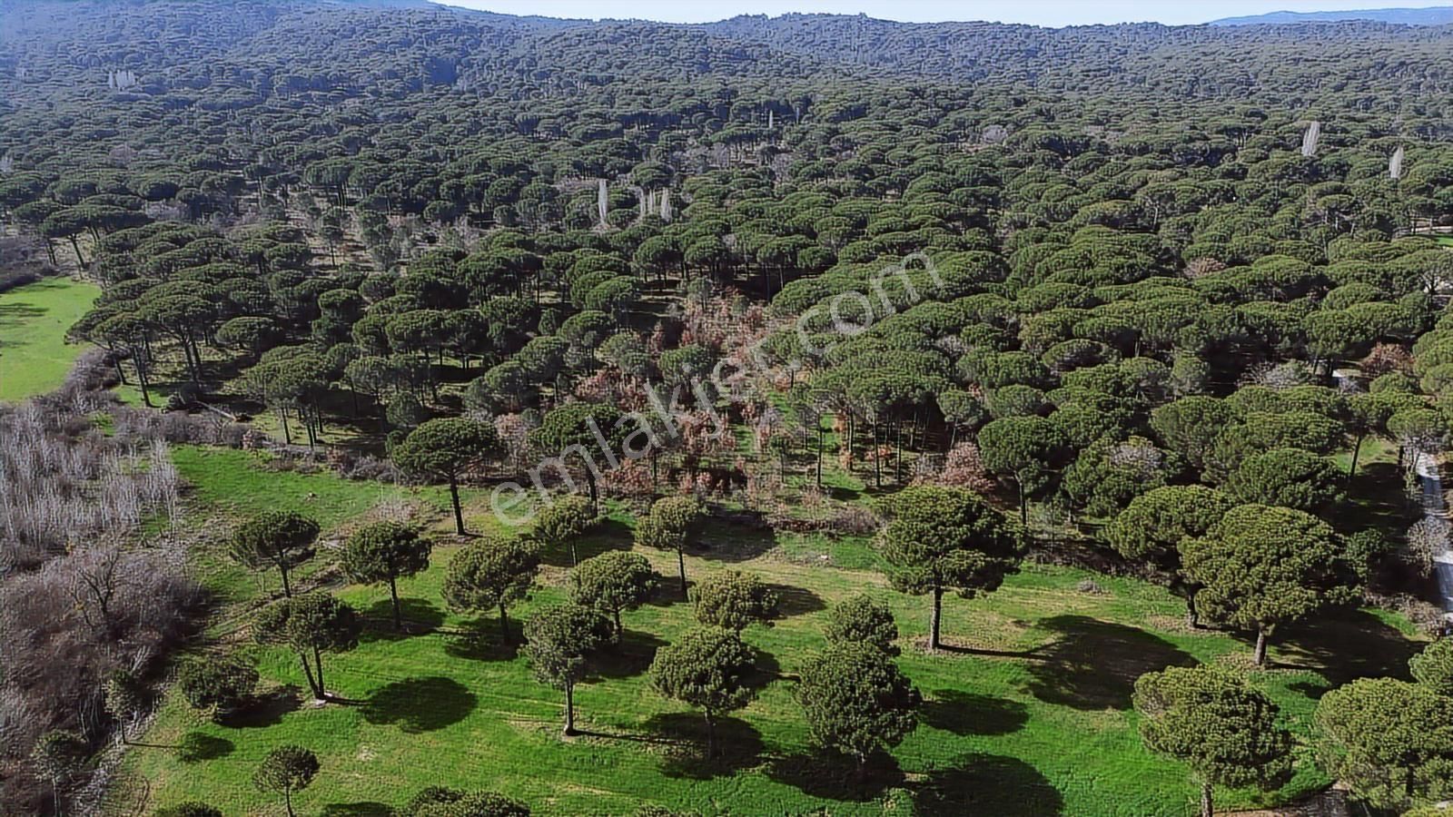 Bergama Kozak Yukarıbey Mahallesinde Satılık 9.371m2 Tarla - Görsel 20