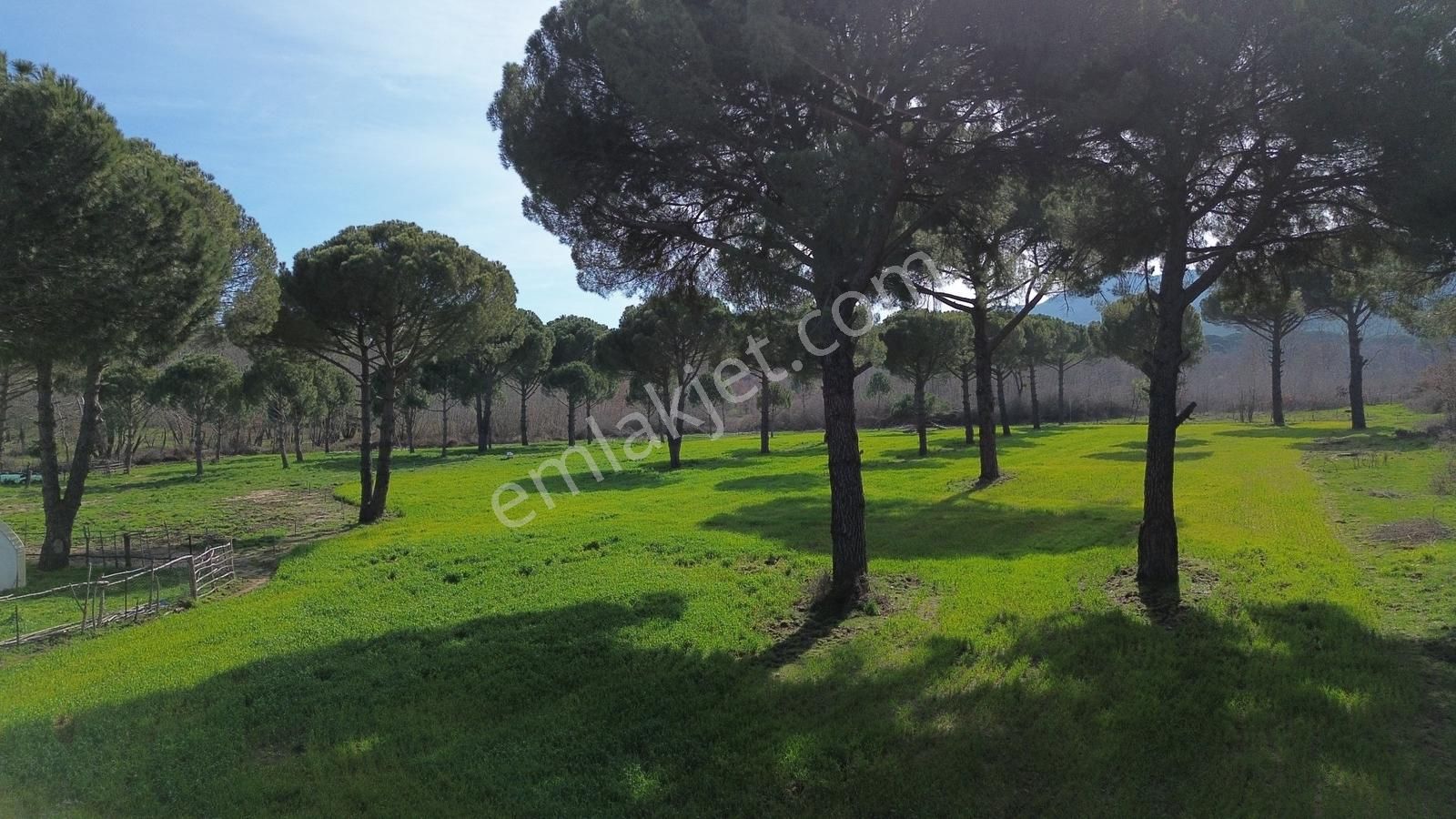 Bergama Kozak Yukarıbey Mahallesinde Satılık 9.371m2 Tarla - Görsel 4