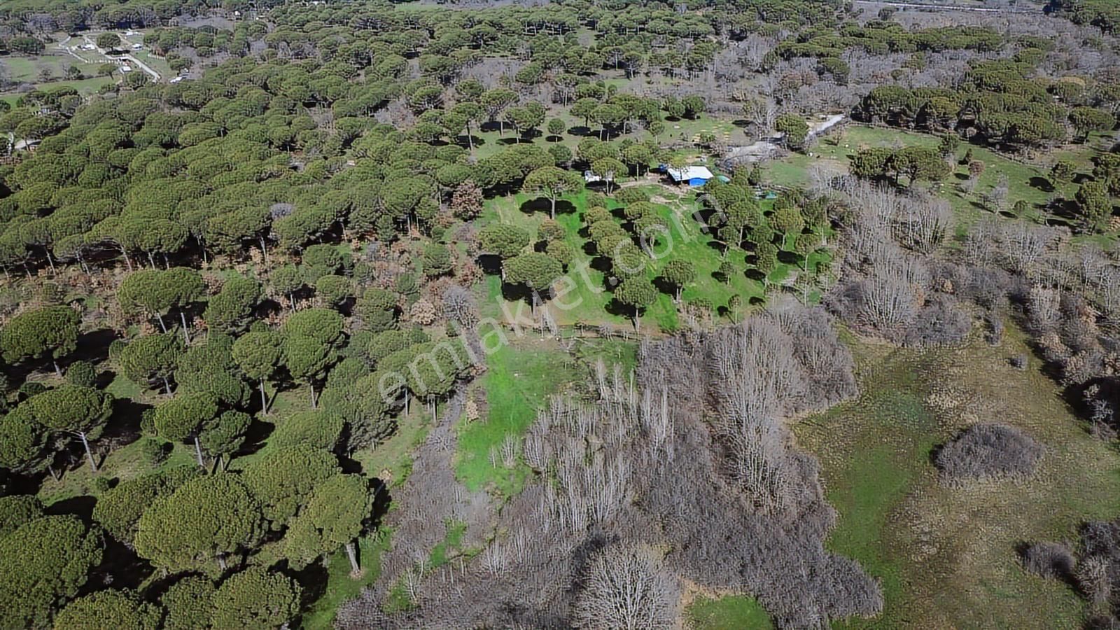 Bergama Kozak Yukarıbey Mahallesinde Satılık 9.371m2 Tarla - Görsel 21