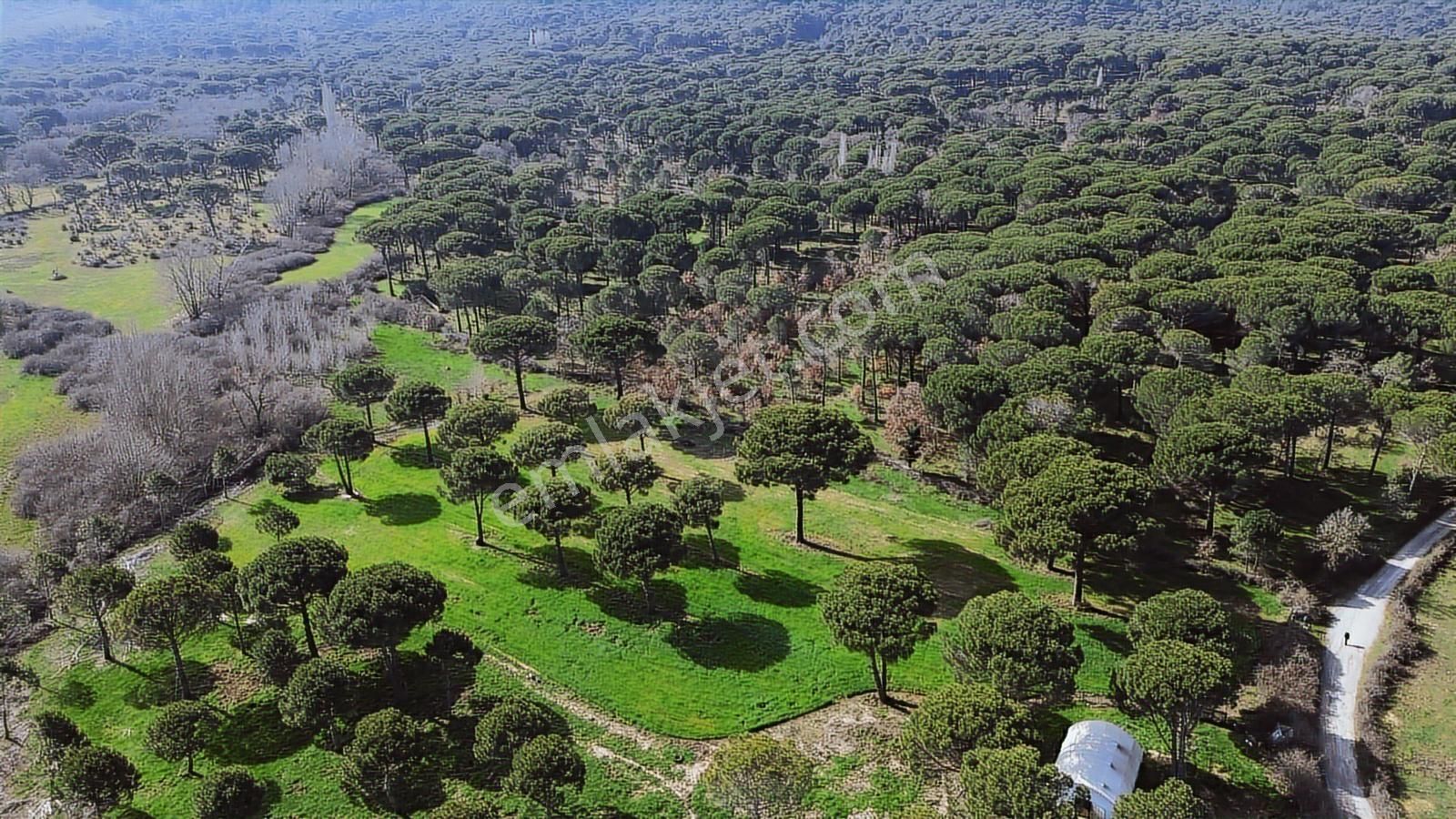 Bergama Kozak Yukarıbey Mahallesinde Satılık 9.371m2 Tarla - Görsel 29