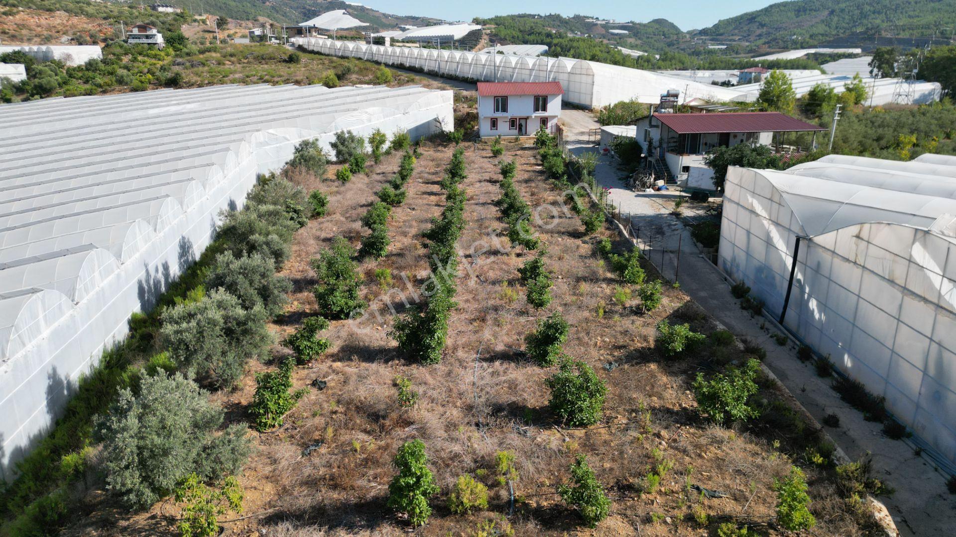 Alanya İmamlı’da Satılık Müstakil Ev + 2 Dönüm Arazi - Görsel 28
