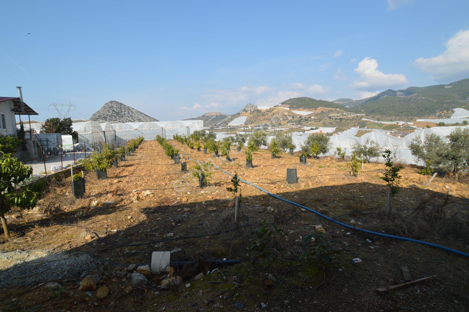 Alanya İmamlı’da Satılık Müstakil Ev + 2 Dönüm Arazi - Görsel 24