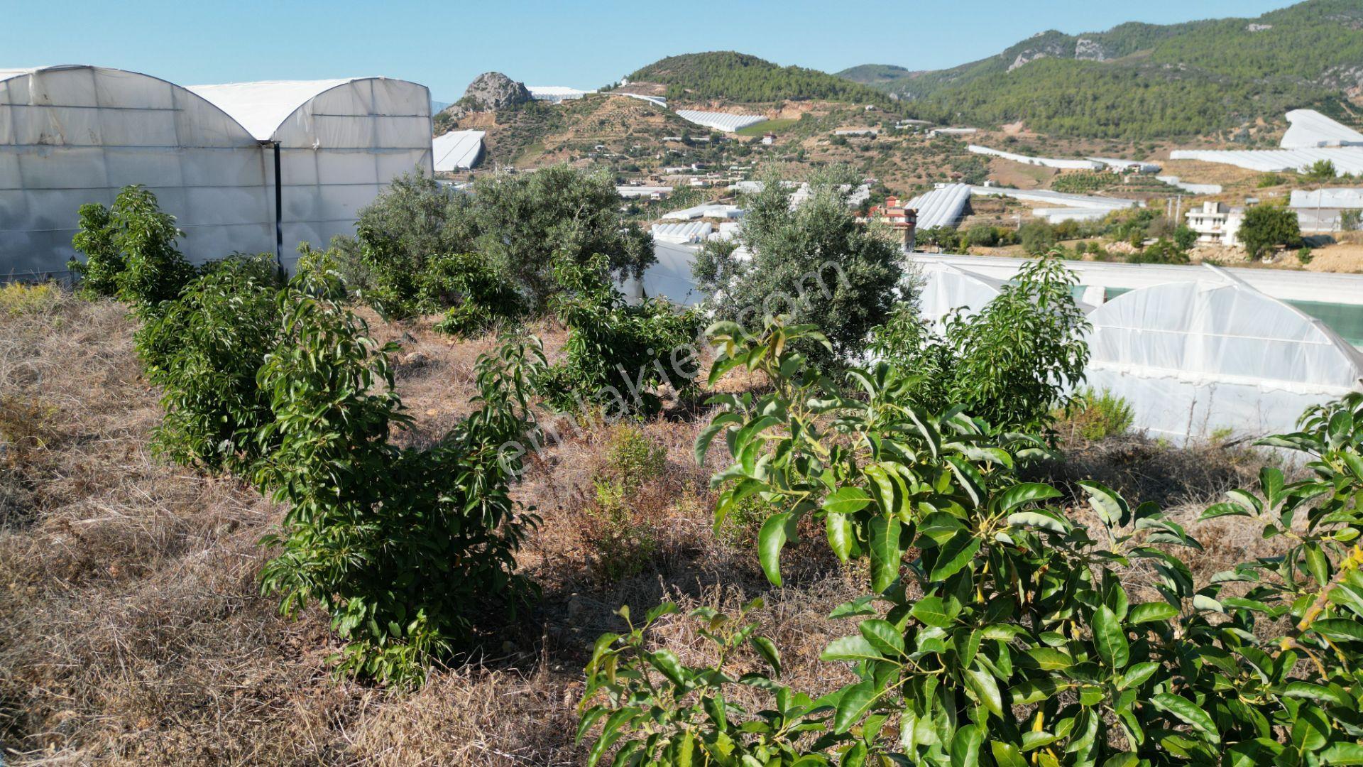 Alanya İmamlı’da Satılık Müstakil Ev + 2 Dönüm Arazi - Görsel 29