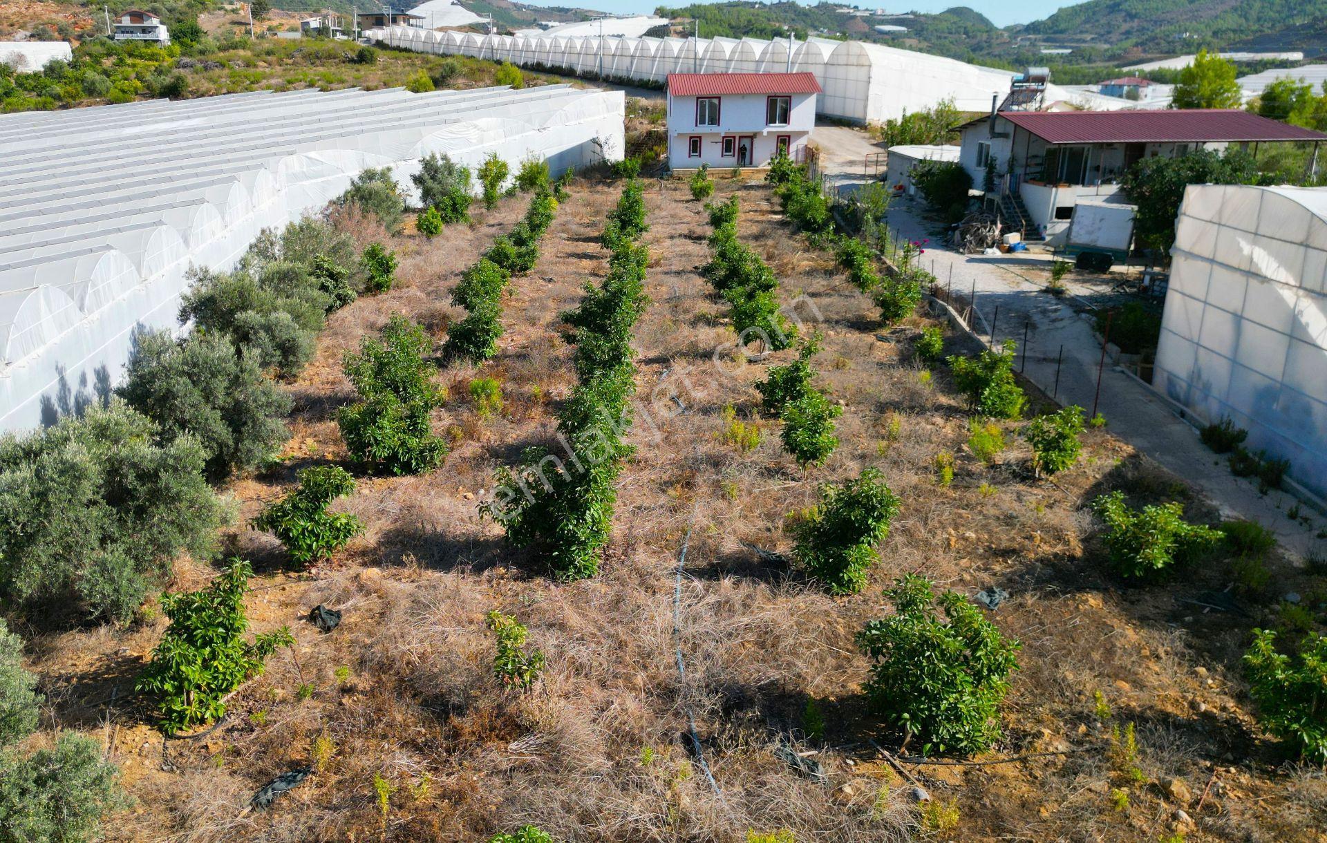 Alanya İmamlı’da Satılık Müstakil Ev + 2 Dönüm Arazi - Görsel 13