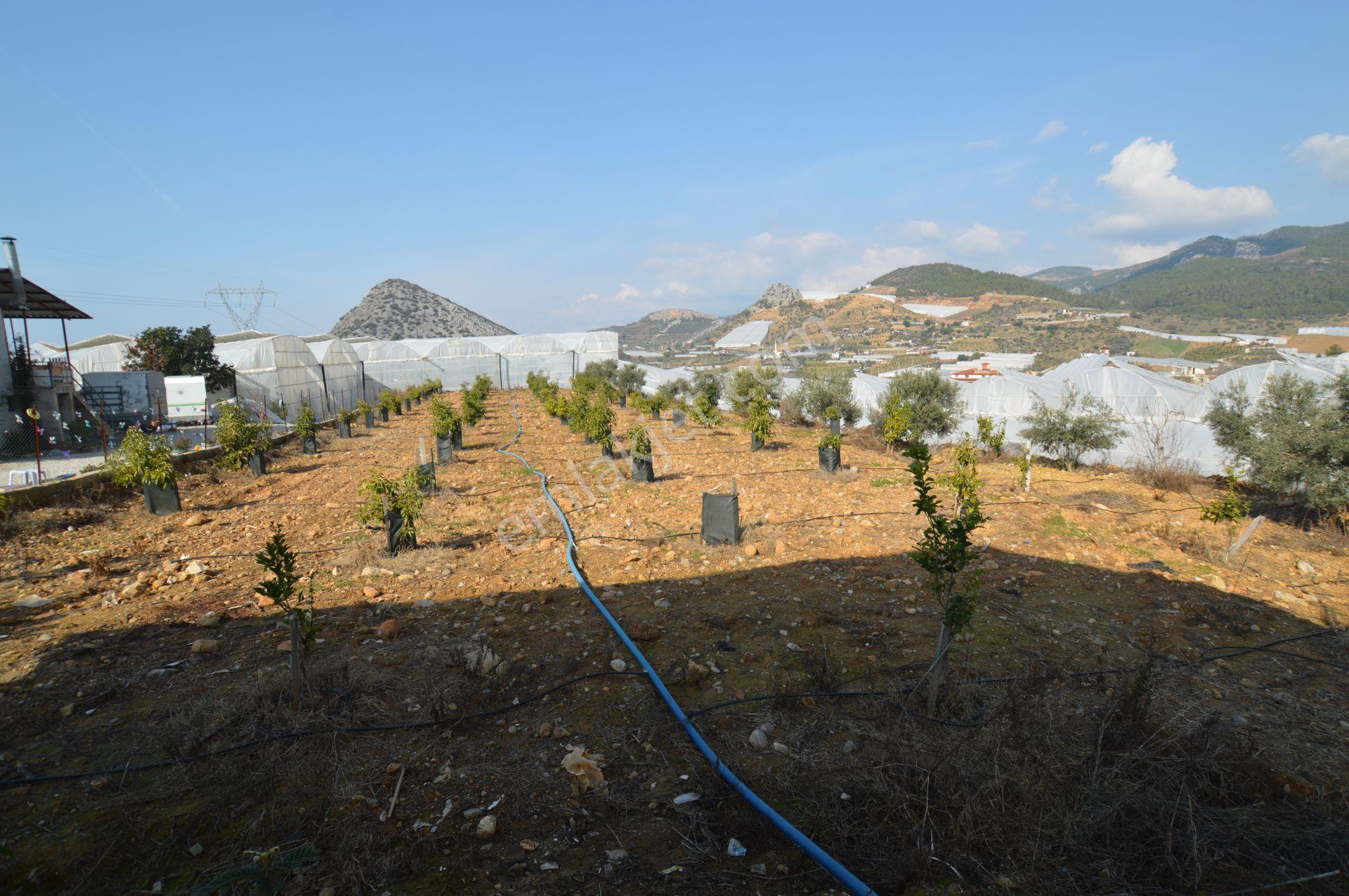 Alanya İmamlı’da Satılık Müstakil Ev + 2 Dönüm Arazi - Görsel 25