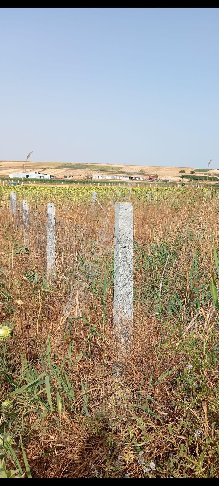 Acele Edin Sizinde İmara Yakın Bir Yeriniz Olsun 350m² - Görsel 17