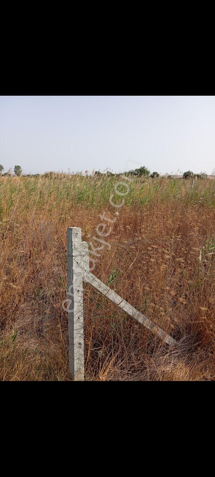 Acele Edin Sizinde İmara Yakın Bir Yeriniz Olsun 350m² - Görsel 14