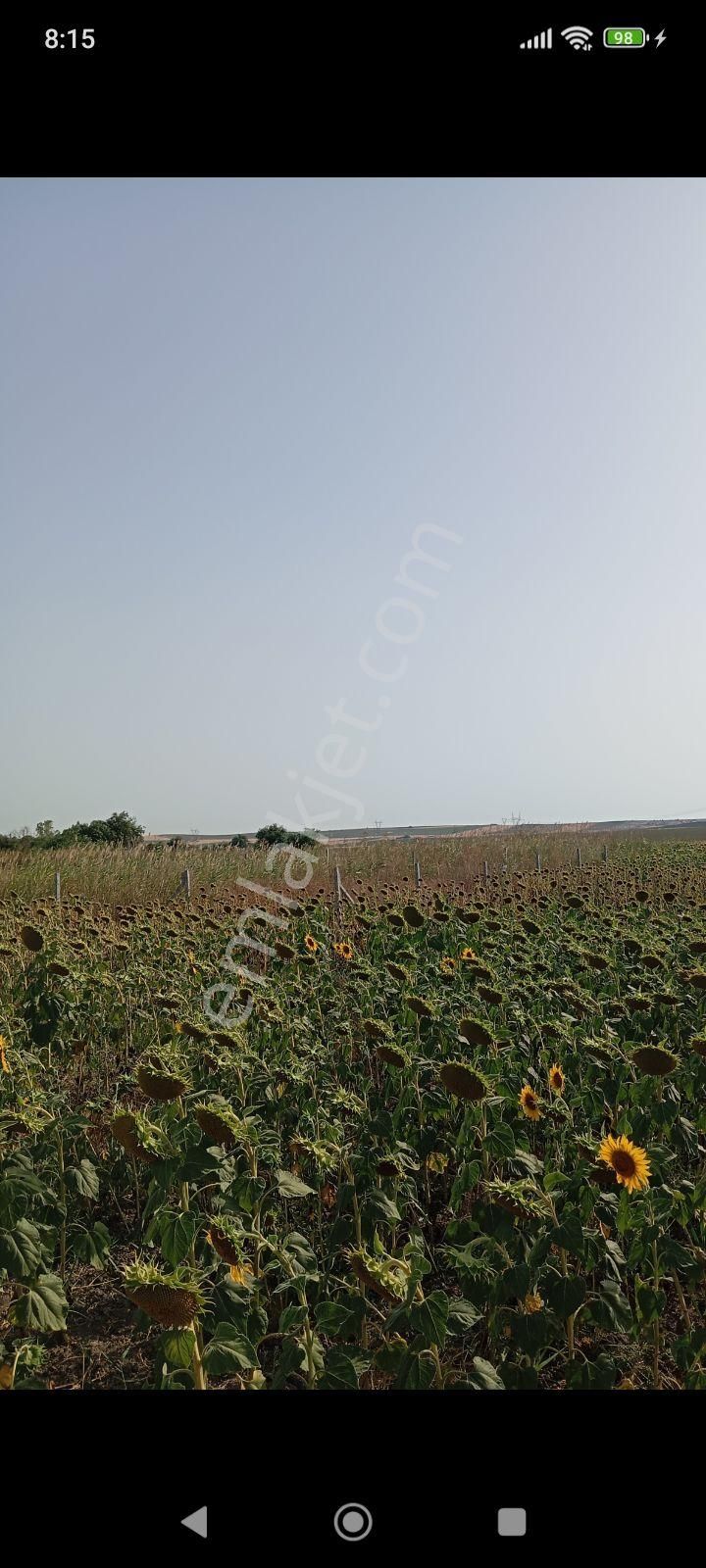 Acele Edin Sizinde İmara Yakın Bir Yeriniz Olsun 350m² - Görsel 24