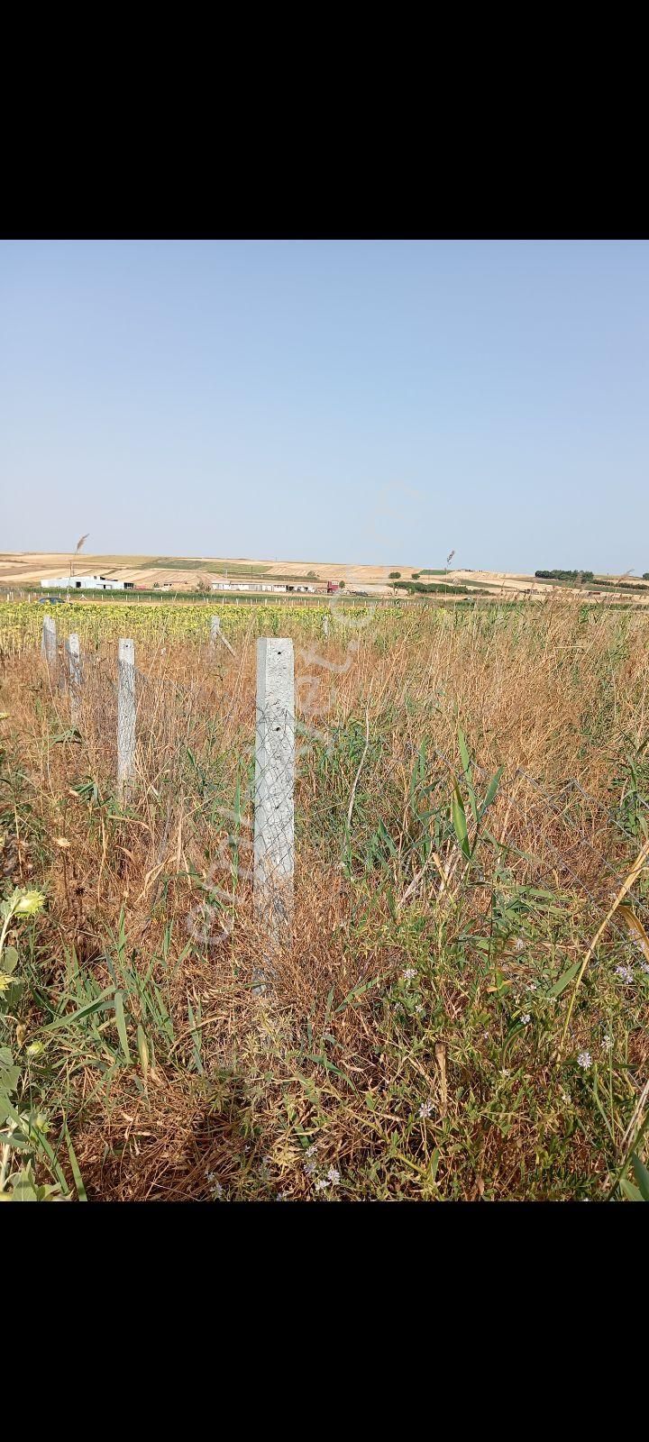 Acele Edin Sizinde İmara Yakın Bir Yeriniz Olsun 350m² - Görsel 21