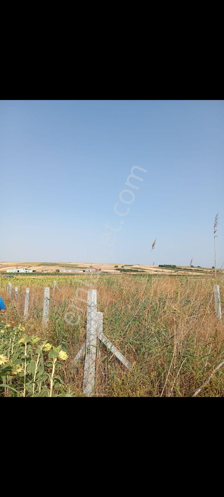 Acele Edin Sizinde İmara Yakın Bir Yeriniz Olsun 350m² - Görsel 22