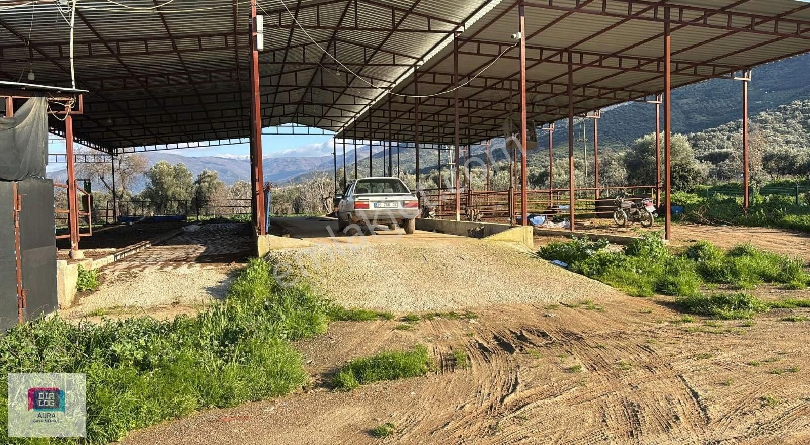 Ödemiş'te 5.900 M² 100 Kapasiteli Besi Çiftliği Satılık - Görsel 11