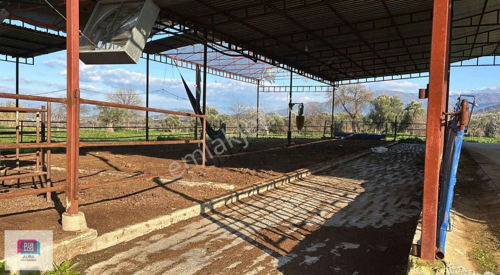 Ödemiş'te 5.900 M² 100 Kapasiteli Besi Çiftliği Satılık - Görsel 8