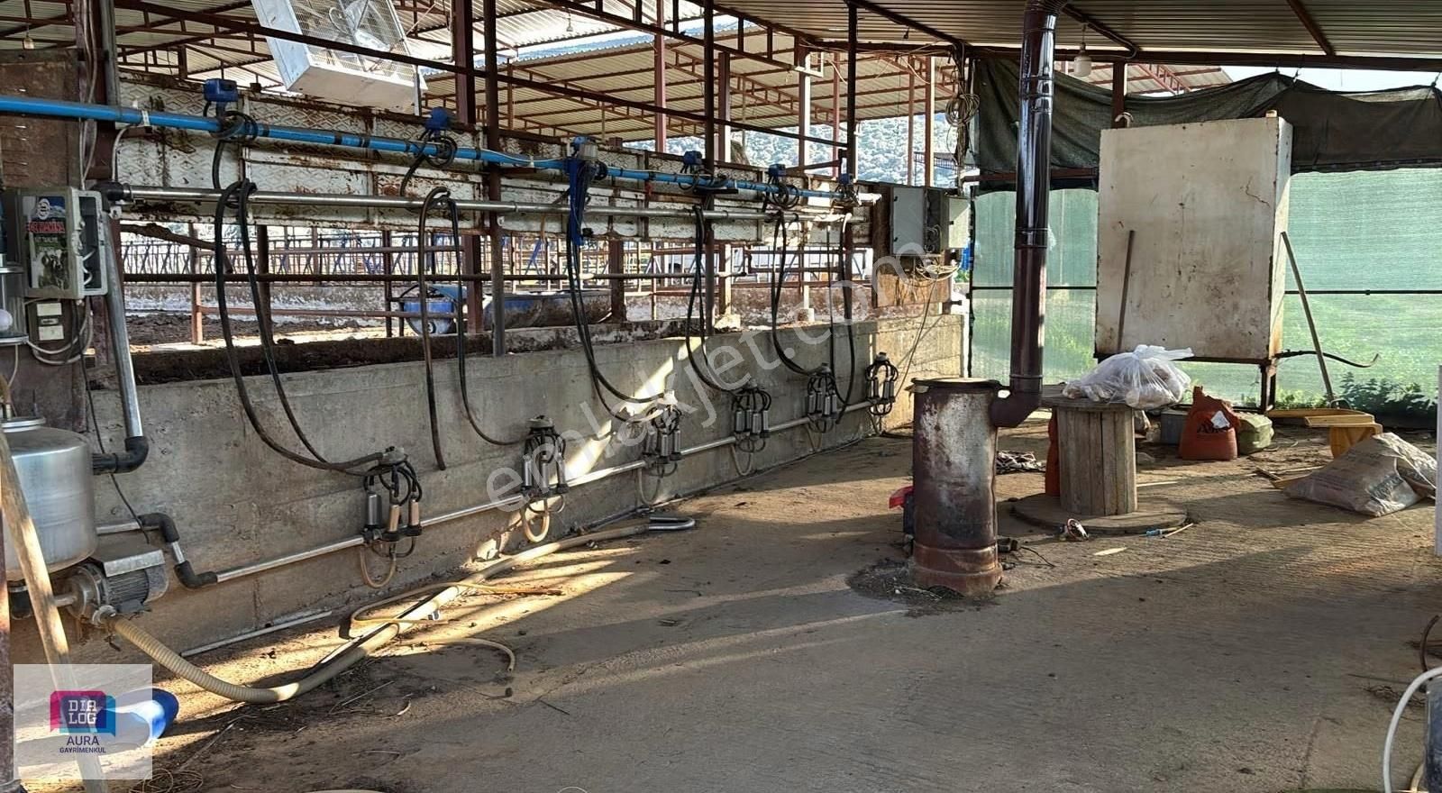 Ödemiş'te 5.900 M² 100 Kapasiteli Besi Çiftliği Satılık - Görsel 16