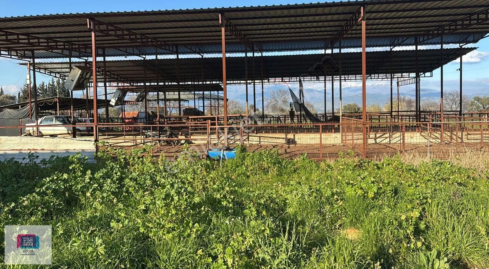 Ödemiş'te 5.900 M² 100 Kapasiteli Besi Çiftliği Satılık - Görsel 18