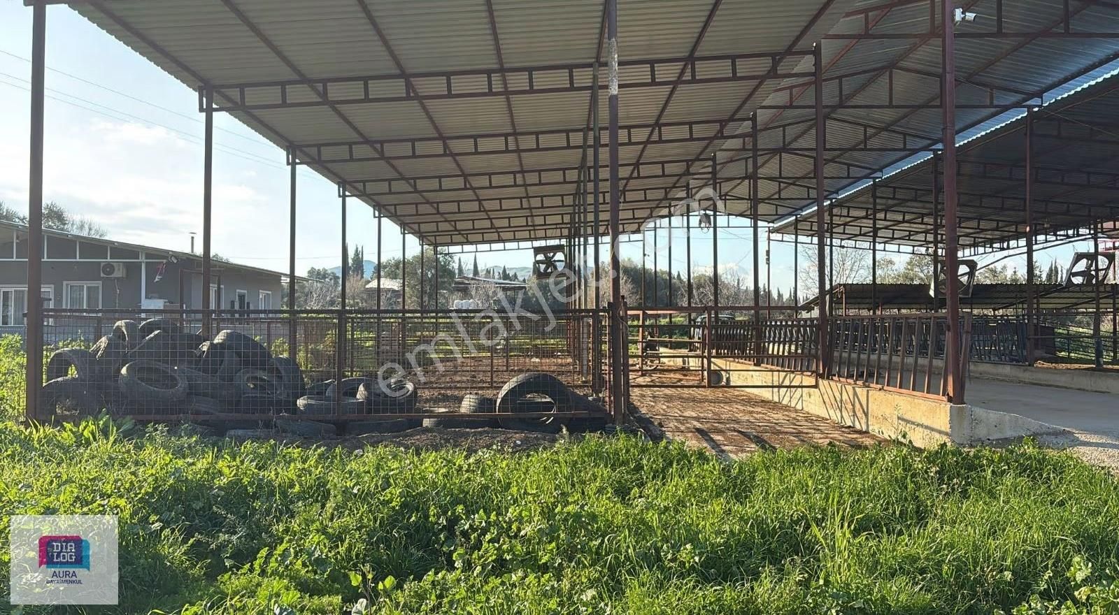 Ödemiş'te 5.900 M² 100 Kapasiteli Besi Çiftliği Satılık - Görsel 3