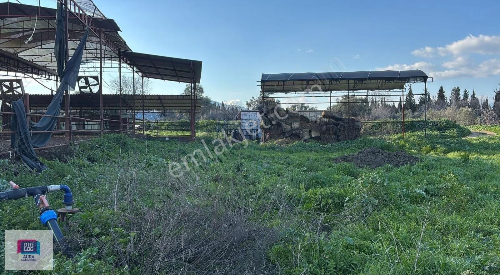 Ödemiş'te 5.900 M² 100 Kapasiteli Besi Çiftliği Satılık - Görsel 4