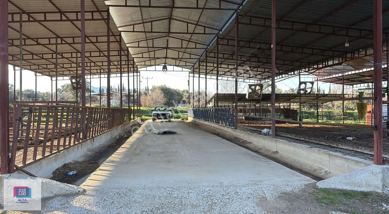 Ödemiş'te 5.900 M² 100 Kapasiteli Besi Çiftliği Satılık