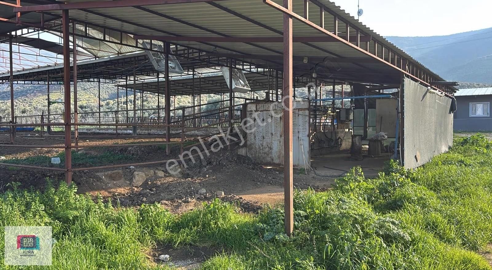 Ödemiş'te 5.900 M² 100 Kapasiteli Besi Çiftliği Satılık - Görsel 12