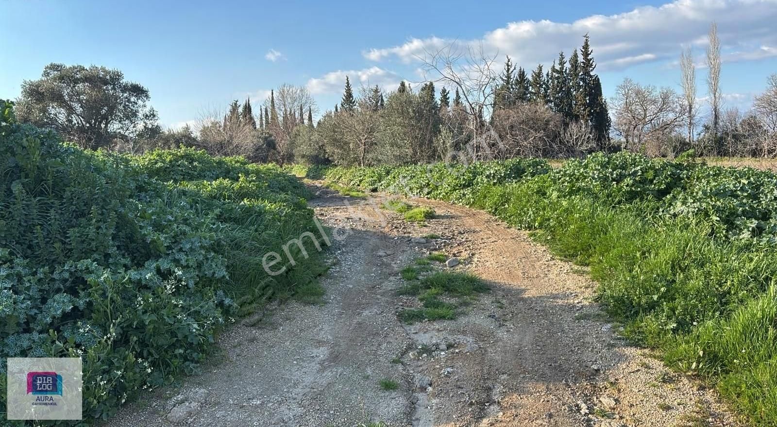 Ödemiş'te 5.900 M² 100 Kapasiteli Besi Çiftliği Satılık - Görsel 6