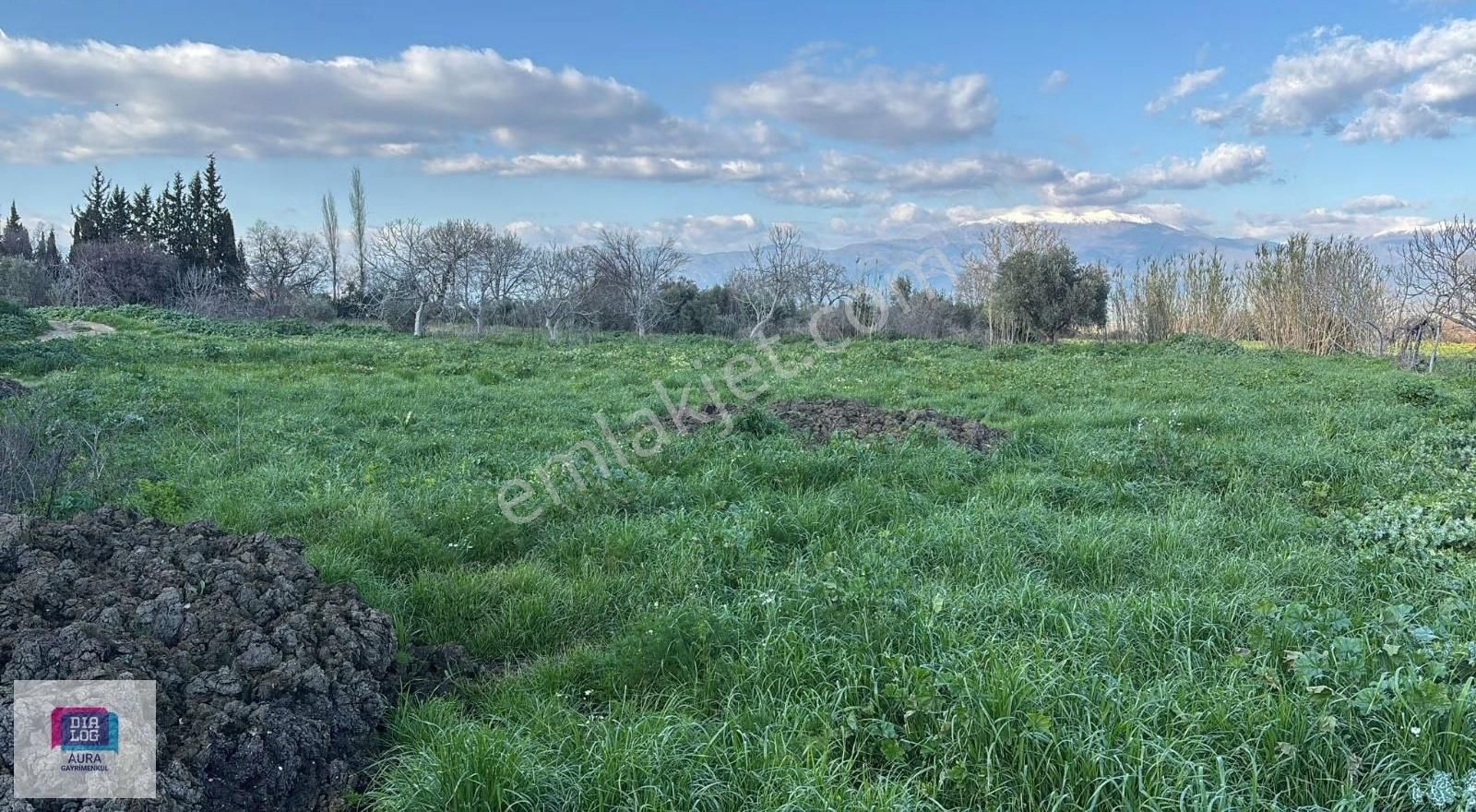 Ödemiş'te 5.900 M² 100 Kapasiteli Besi Çiftliği Satılık - Görsel 9