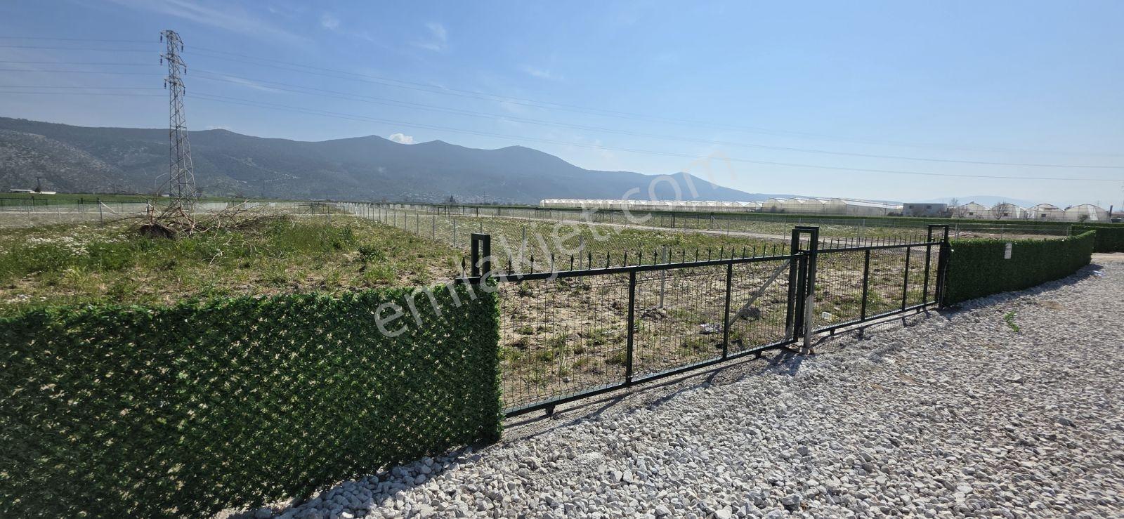 Bodrum İzmir Yoluna Sıfır 350m² Milas Damlıboğazda Son 5 Parsel - Görsel 22