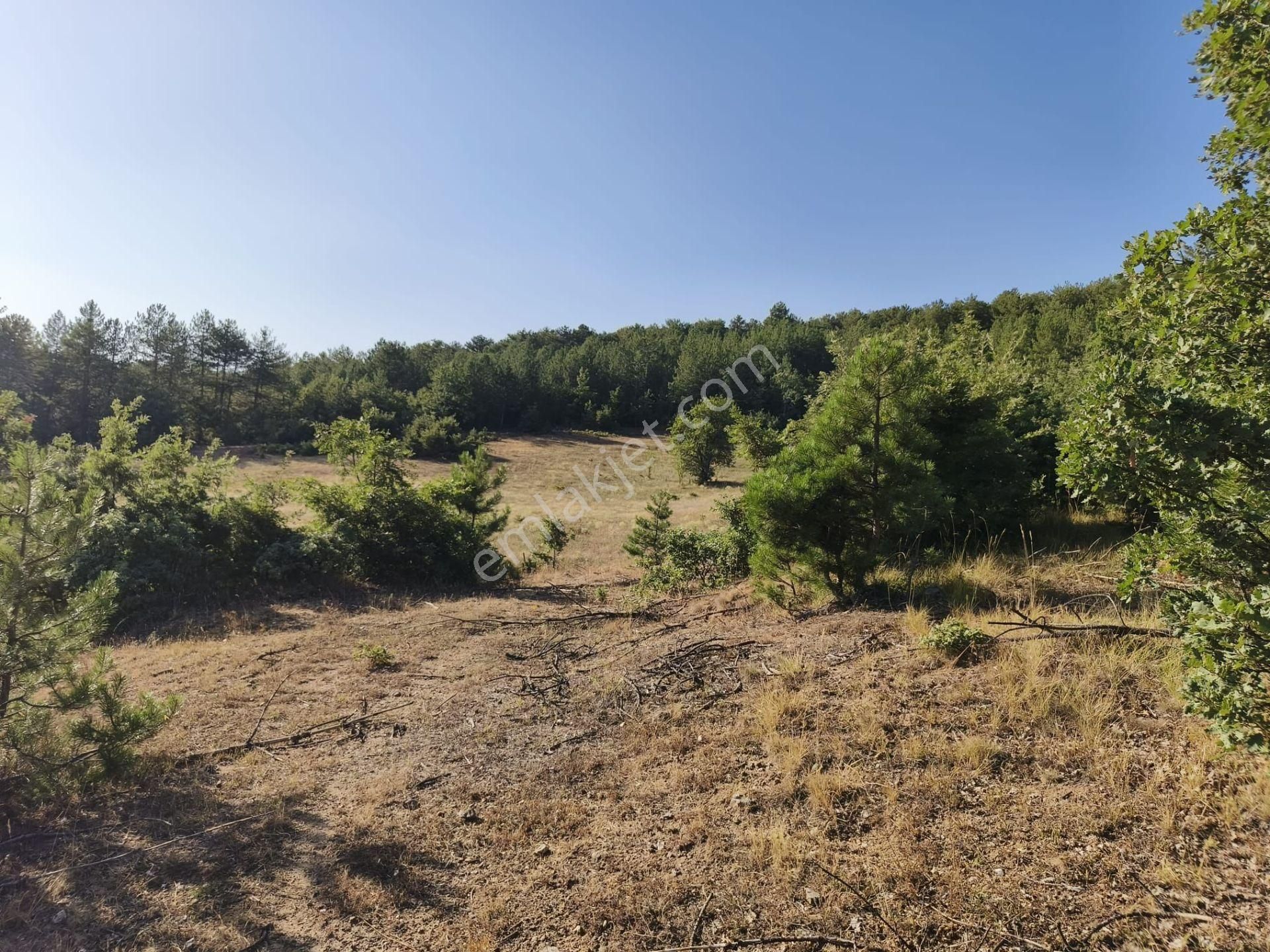 Bursa Keleste 19.111 M² Satılık Fırsat Arazi - Görsel 5