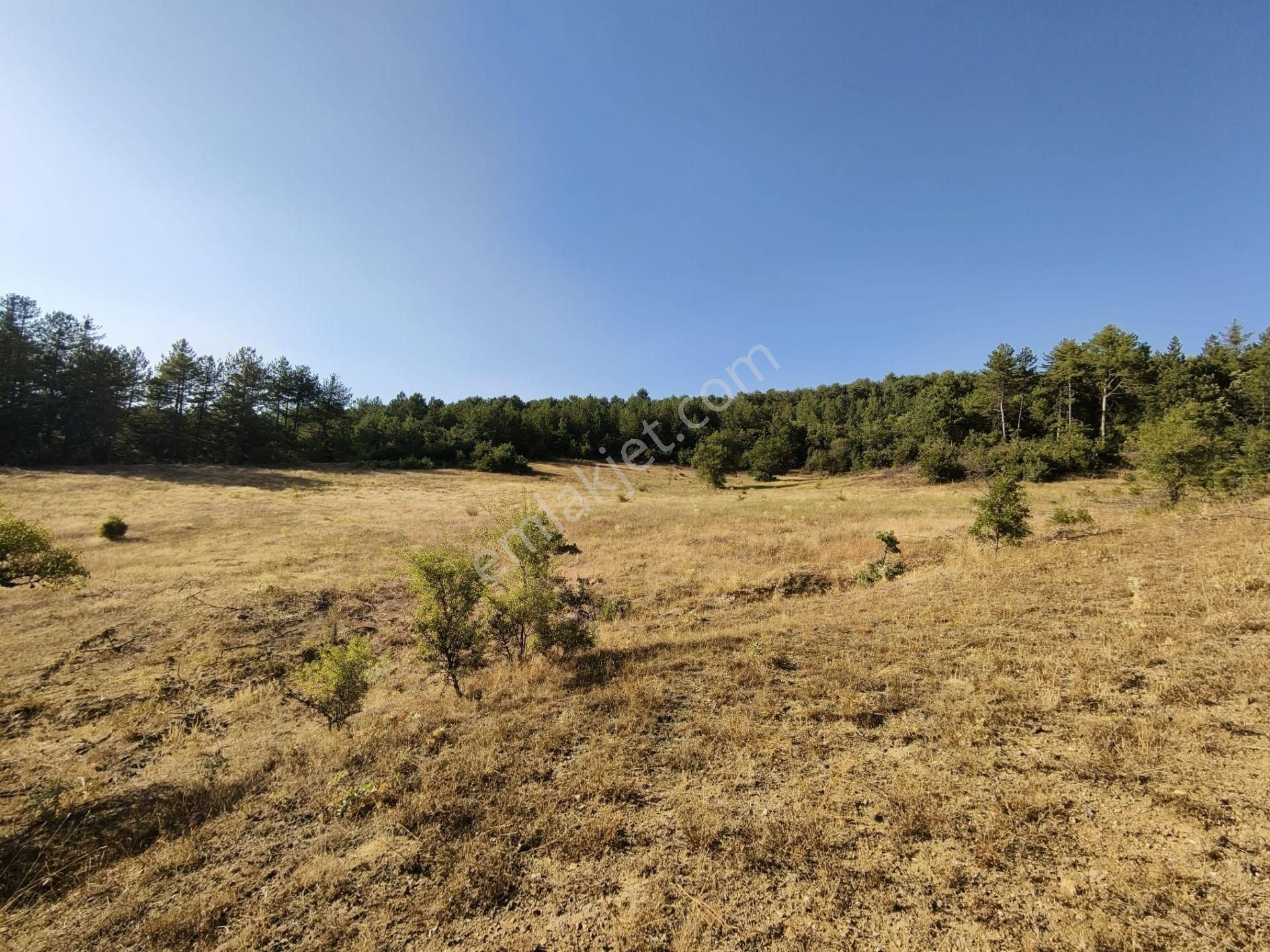 Bursa Keleste 19.111 M² Satılık Fırsat Arazi - Görsel 11