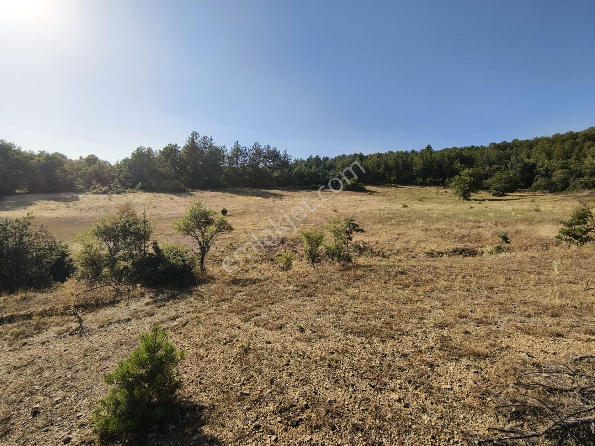 Bursa Keleste 19.111 M² Satılık Fırsat Arazi - Görsel 3