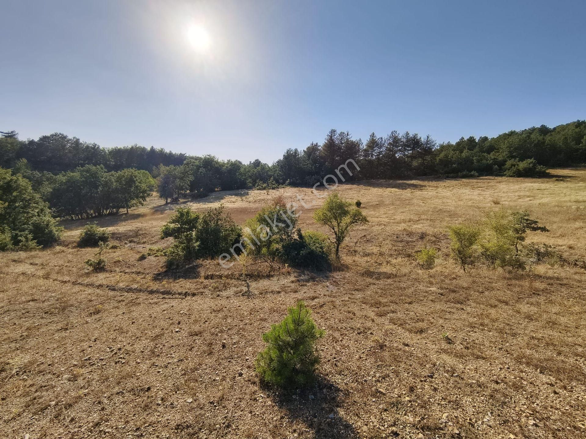 Bursa Keleste 19.111 M² Satılık Fırsat Arazi - Görsel 6