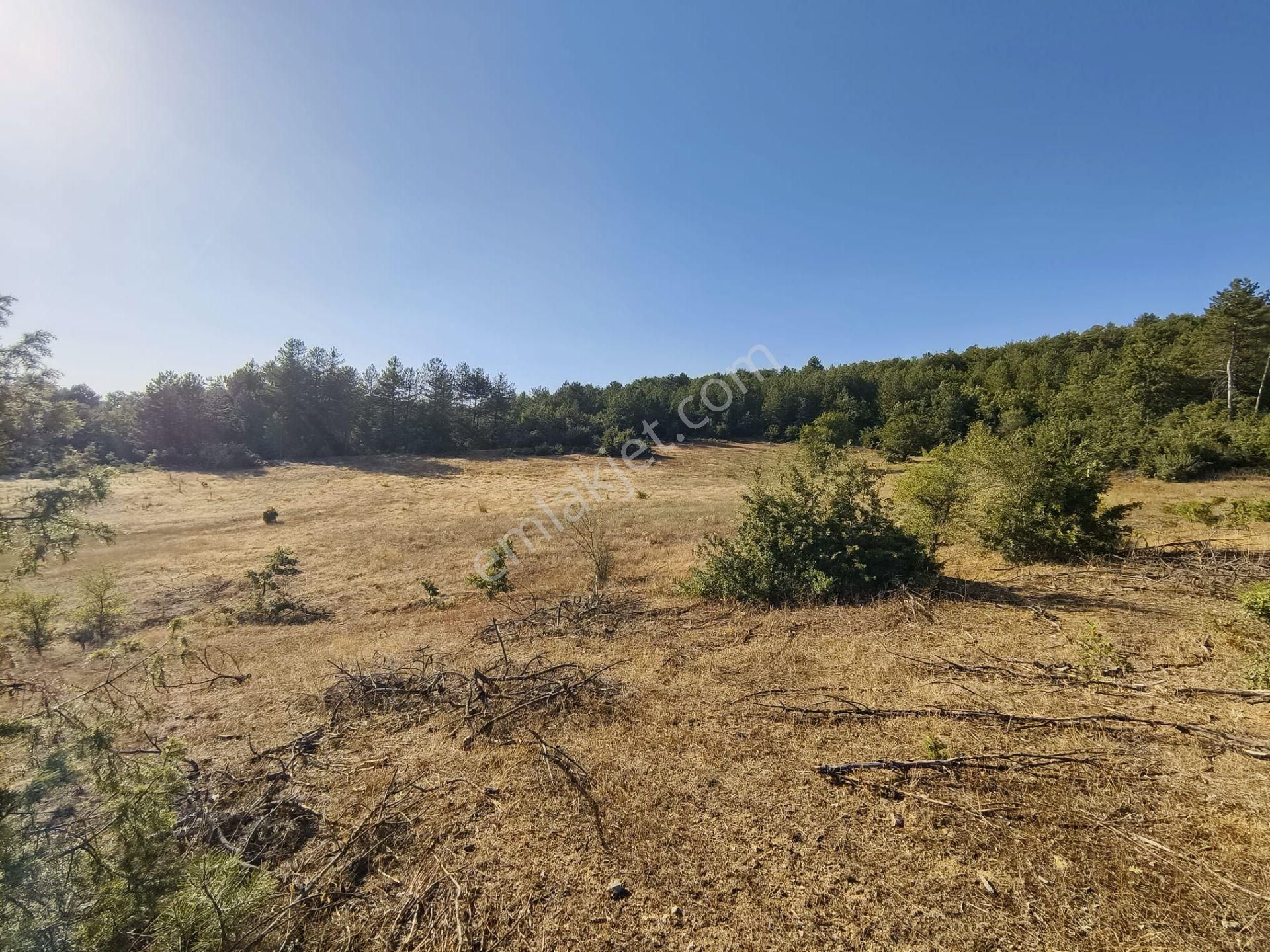 Bursa Keleste 19.111 M² Satılık Fırsat Arazi - Görsel 13
