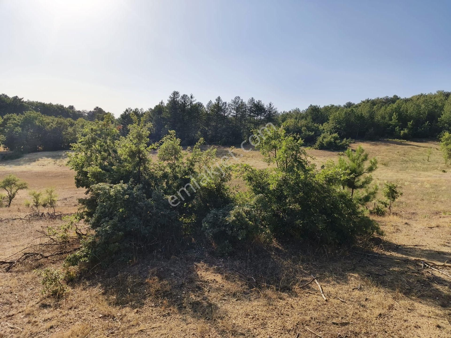 Bursa Keleste 19.111 M² Satılık Fırsat Arazi - Görsel 10