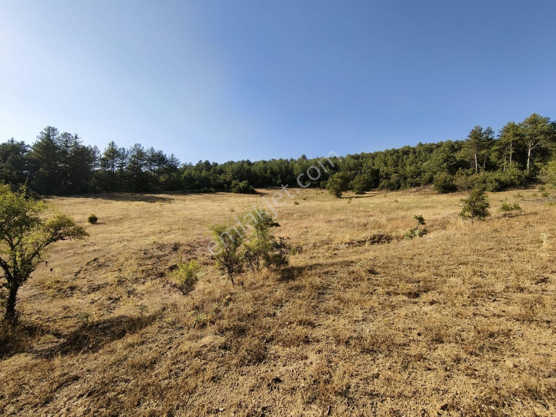 Bursa Keleste 19.111 M² Satılık Fırsat Arazi - Görsel 7