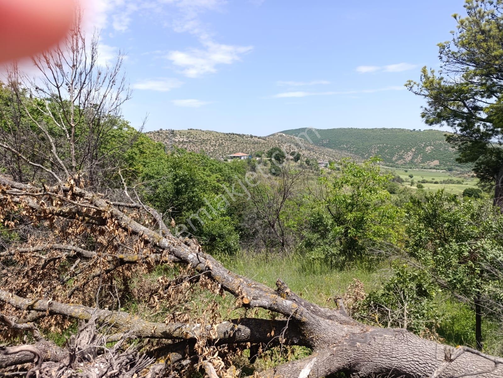 Altıeylül / Karakavak Mah. 1452 M2 Arsa - Görsel 11