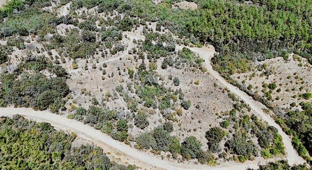 Balya Medrese'de 30 Dönüm Tarla - Görsel 4