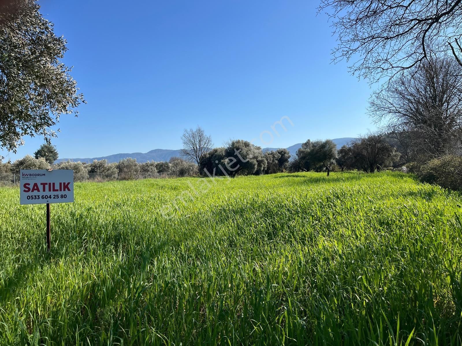 Muğla'da Yerim Olsun Diyorsanız Karabörtlen'de Yatırımlık Arsa