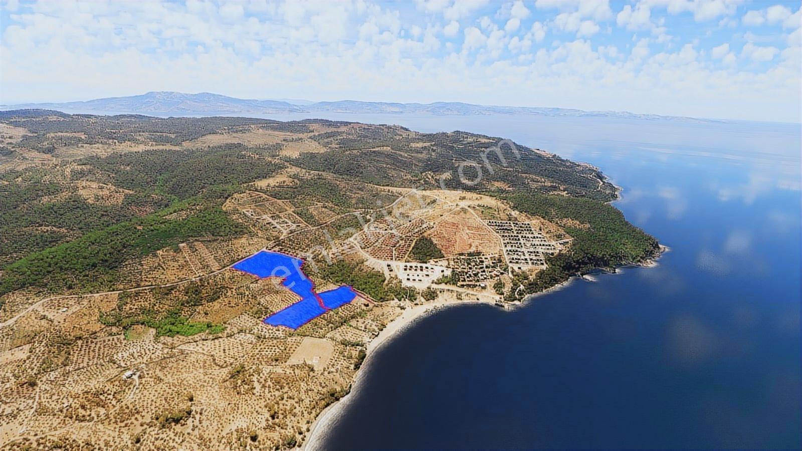 Çanakkale Babakale'de Satılık Arazi Değil Satılık Gelecek Var... - Görsel 28