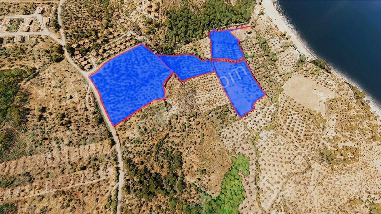 Çanakkale Babakale'de Satılık Arazi Değil Satılık Gelecek Var... - Görsel 8