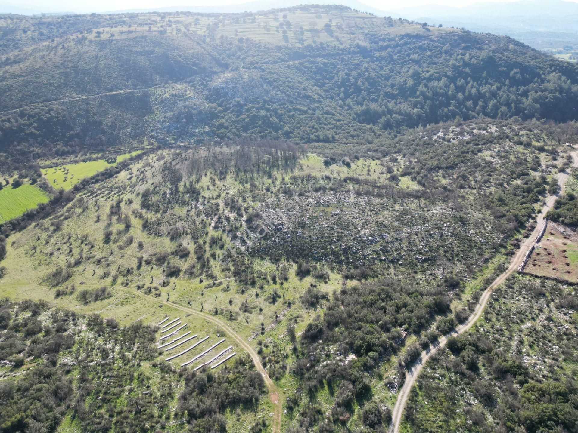 Milas Ulaş'ta Yatırımlık Arazi - 1/10 Hisse Satılık