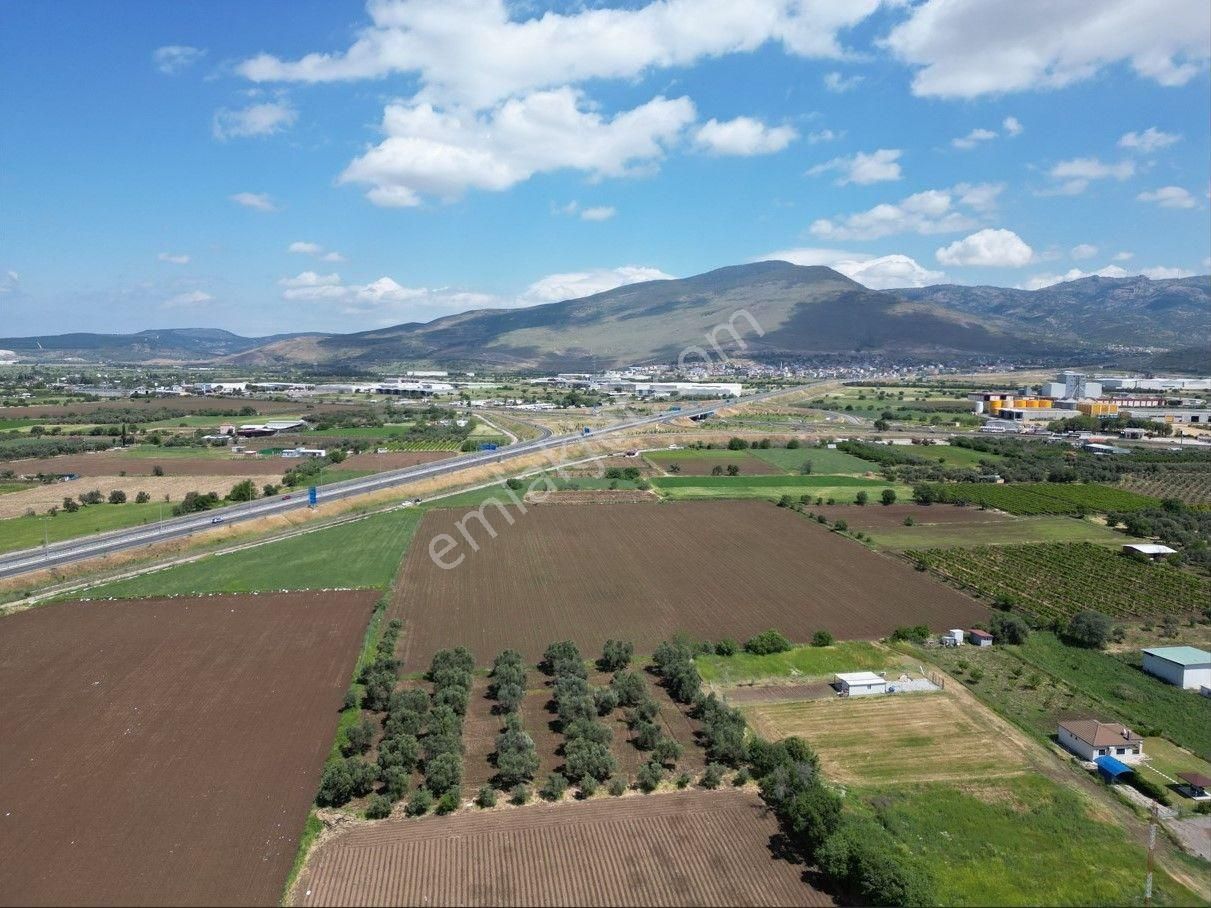 İzmir-eski Foça Duble Yolu Üzerinde Satılık Fırsat Tarla - Görsel 5
