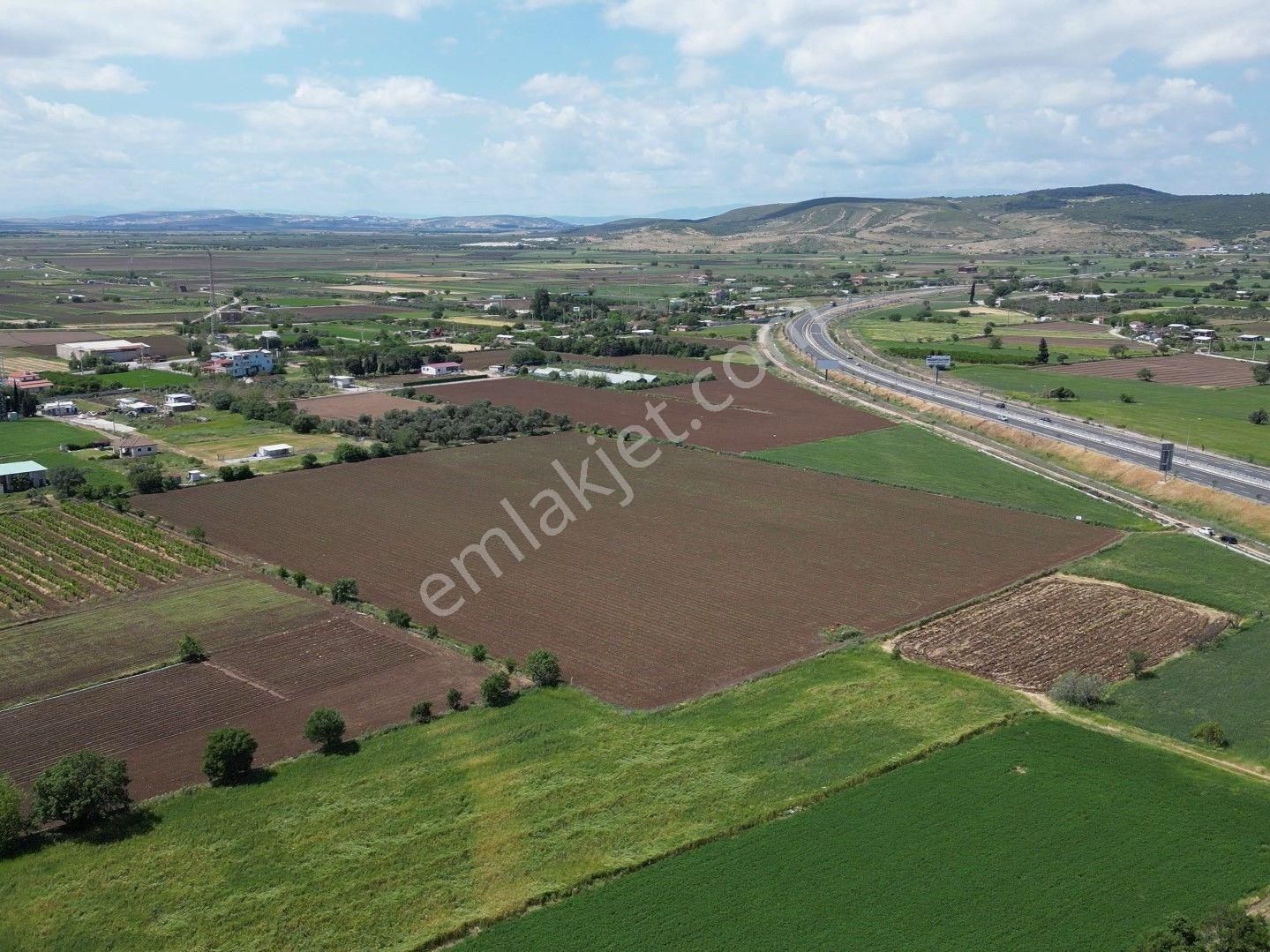 İzmir-eski Foça Duble Yolu Üzerinde Satılık Fırsat Tarla - Görsel 32