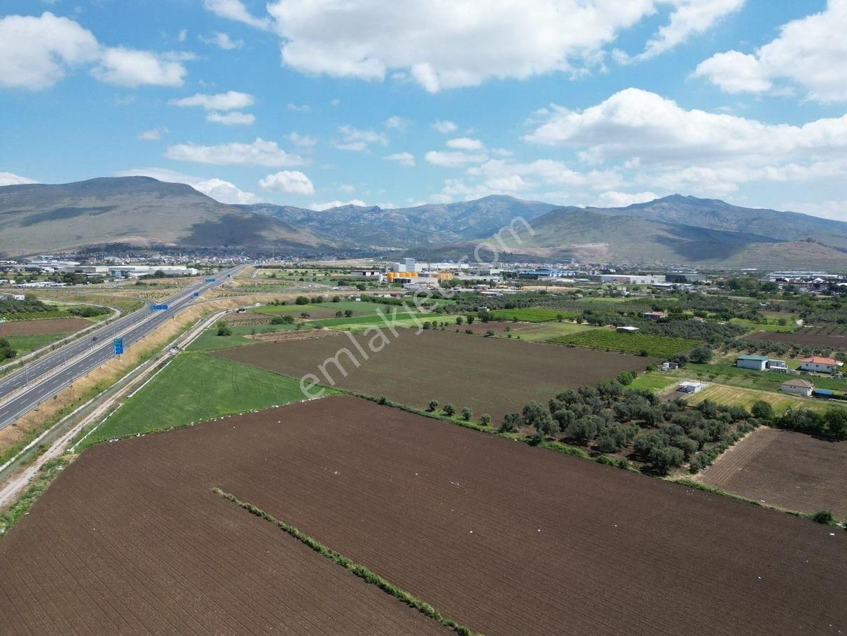 İzmir-eski Foça Duble Yolu Üzerinde Satılık Fırsat Tarla - Görsel 3