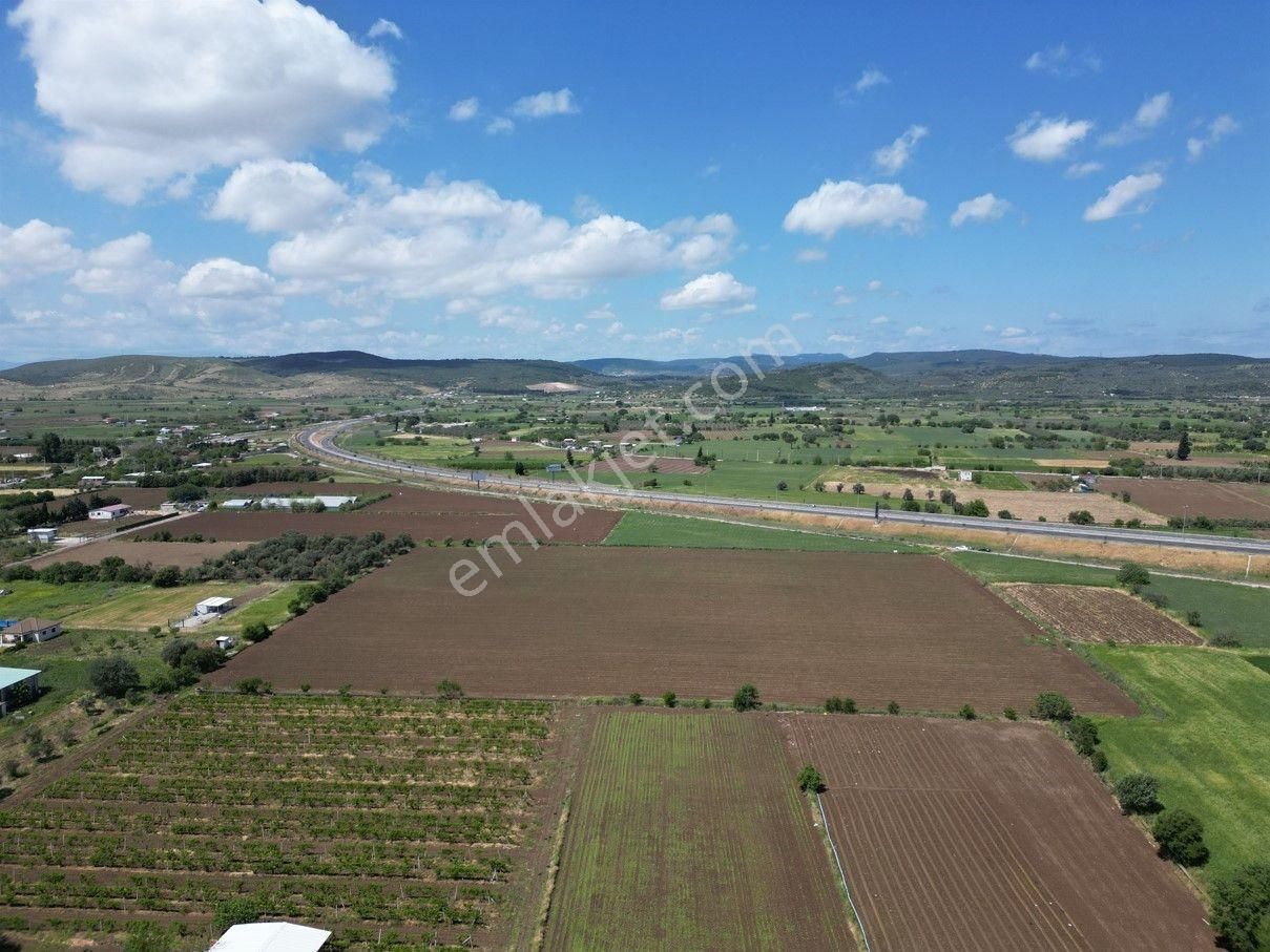 İzmir-eski Foça Duble Yolu Üzerinde Satılık Fırsat Tarla - Görsel 8